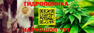 наркотики Кандалакша