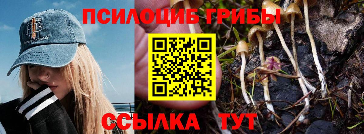 Галлюциногенные грибы GOLDEN TEACHER  Псилоцибиновые грибы мухоморы  Куйбышев  закладки  Вход с VPN 