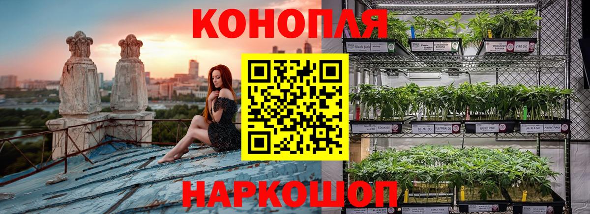 Бошки Шишки White Widow  Конопля MAZAR  Шишки марихуана планчик  Куйбышев  Вход с VPN 